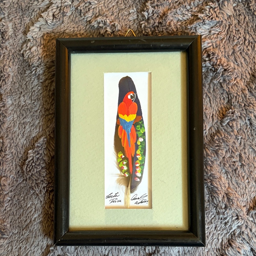 Framed Parrot Feather Art